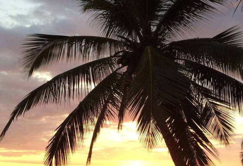 هتل Bird Of Paradise