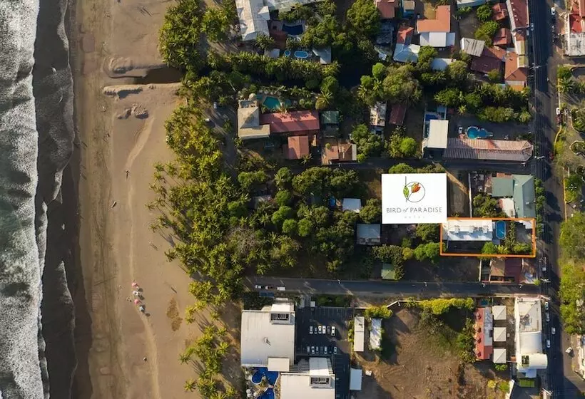 Hotelli Bird Of Paradise