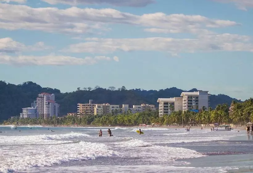 Hotelli Bird Of Paradise