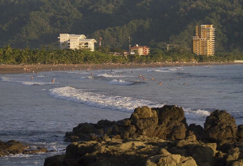 هتل Bird Of Paradise