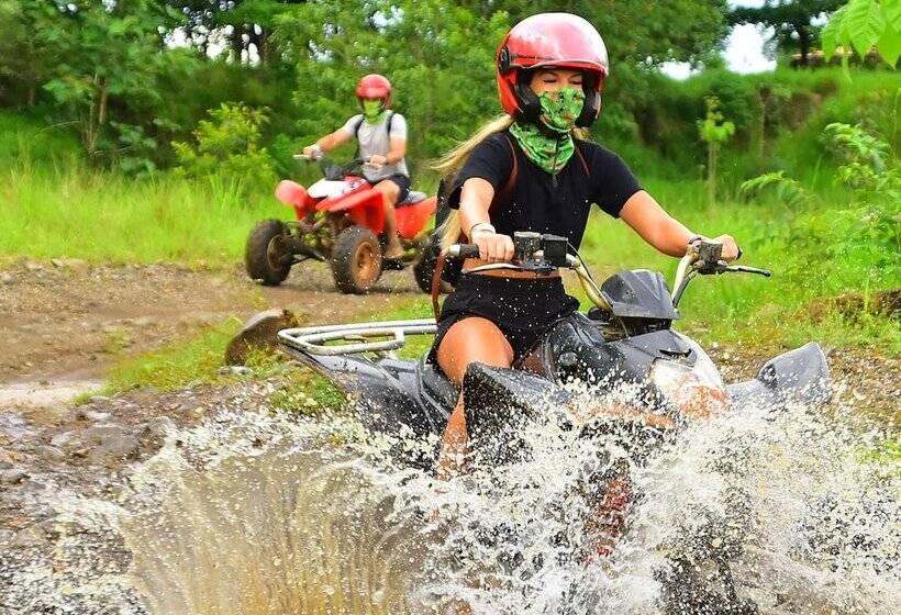 هتل Bird Of Paradise