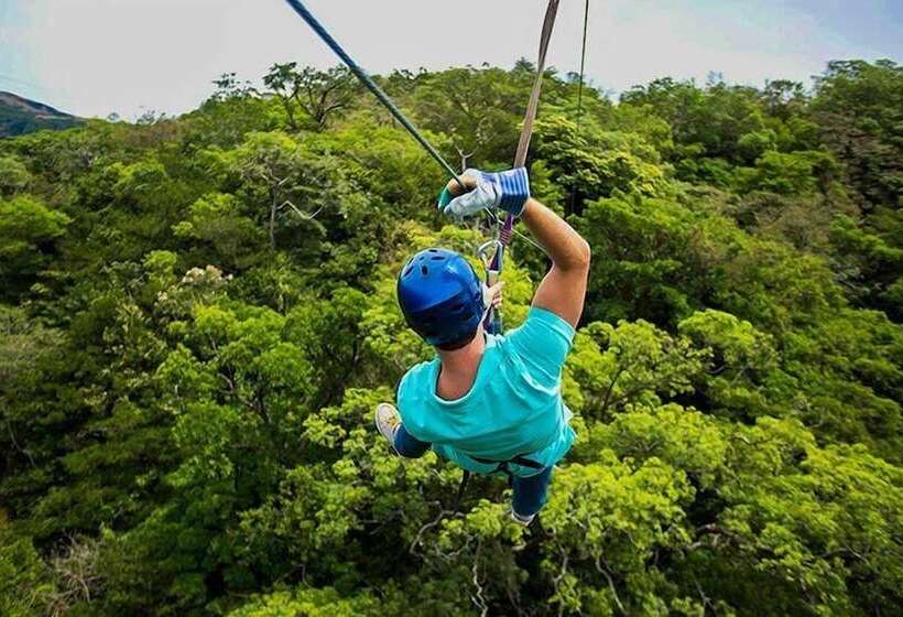 هتل Bird Of Paradise