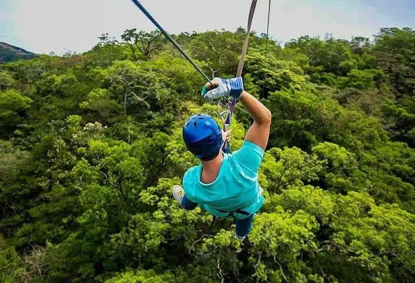 Hotelli Bird Of Paradise