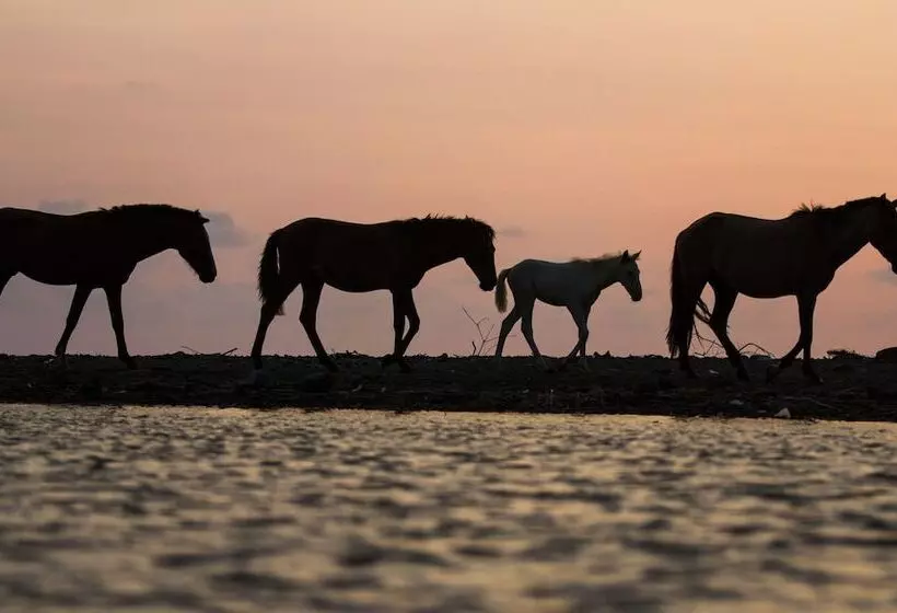 Hotelli Bird Of Paradise