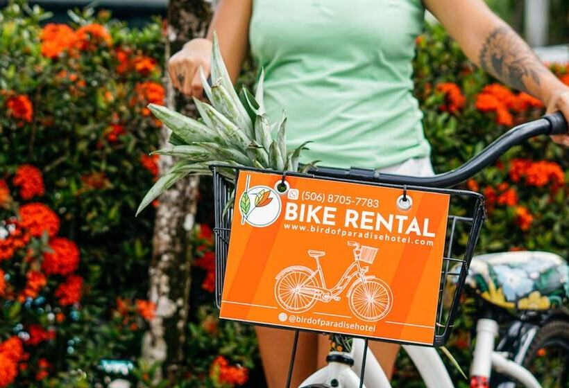 هتل Bird Of Paradise