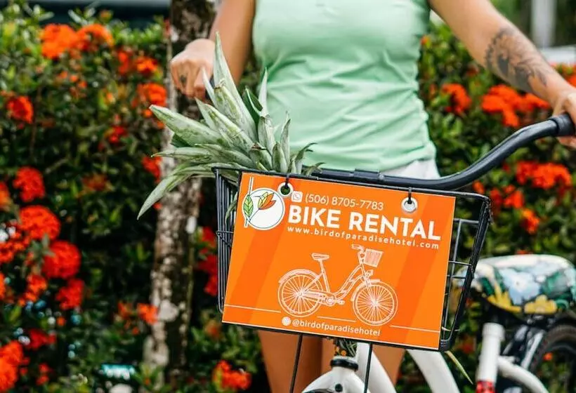 Hotelli Bird Of Paradise