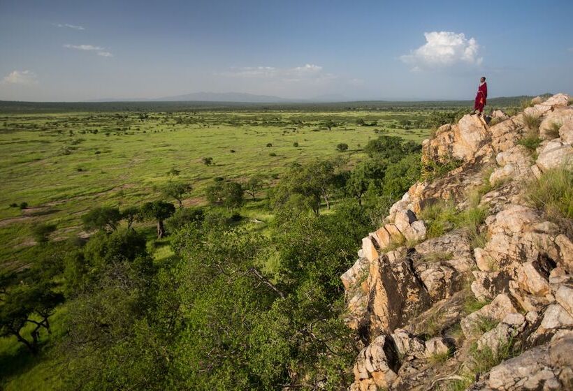 ホテル Elewana Tarangire Treetops