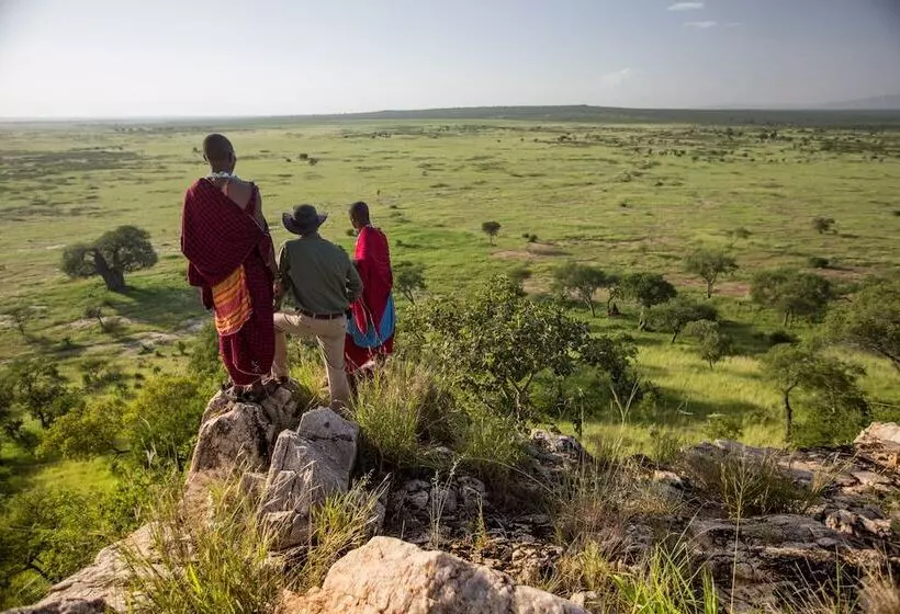 Hotelli Elewana Tarangire Treetops