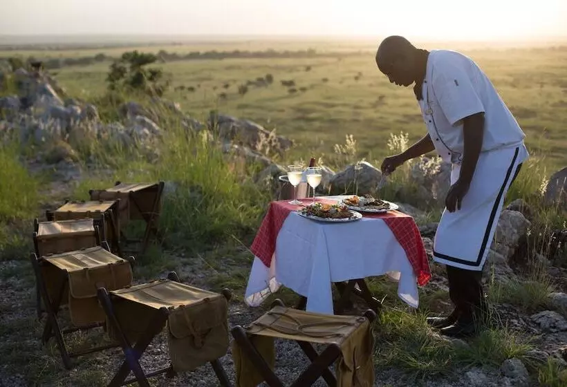 Hotelli Elewana Tarangire Treetops