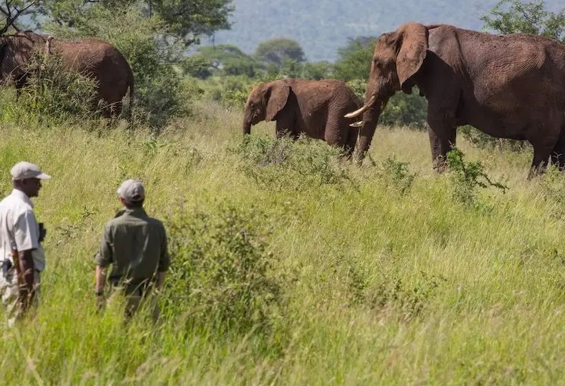 Hotelli Elewana Tarangire Treetops