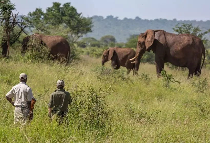Hotelli Elewana Tarangire Treetops