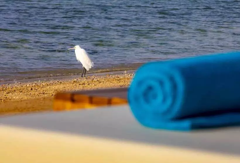 Zen Resort By Tbh Hotels