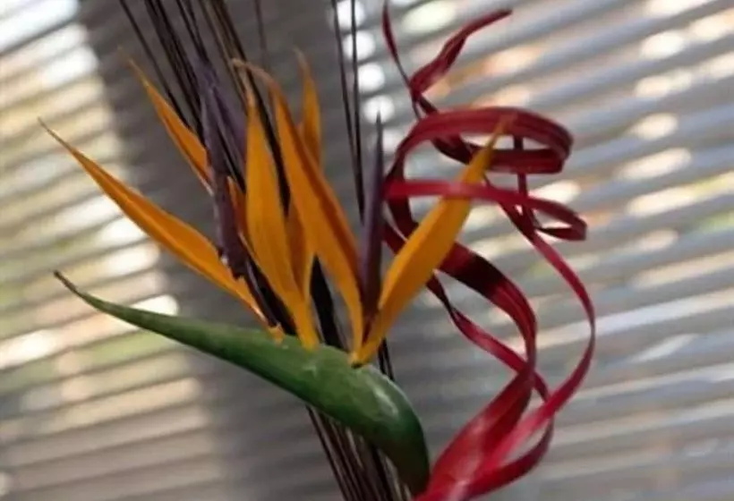 Aberdeen Serviced Apartments   The Lodge