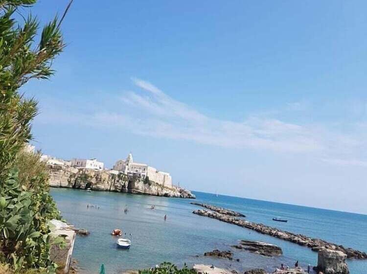 민박 Club Bellavista