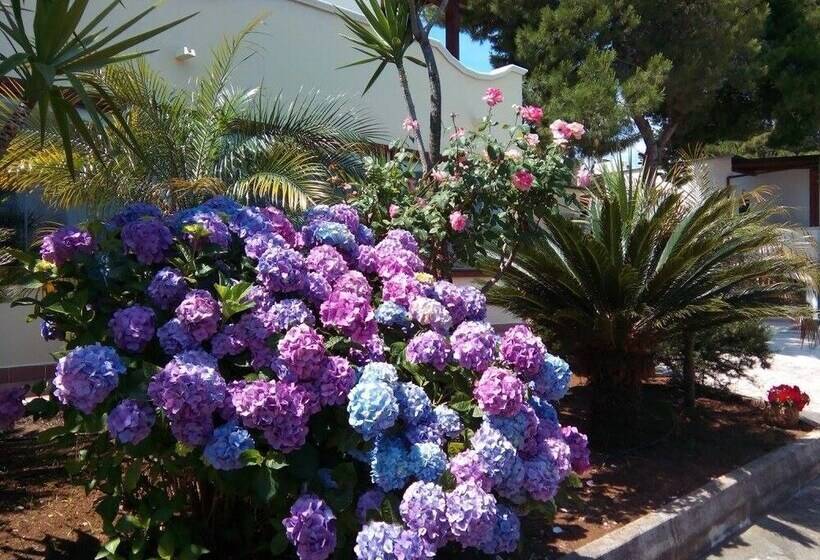 민박 Club Bellavista