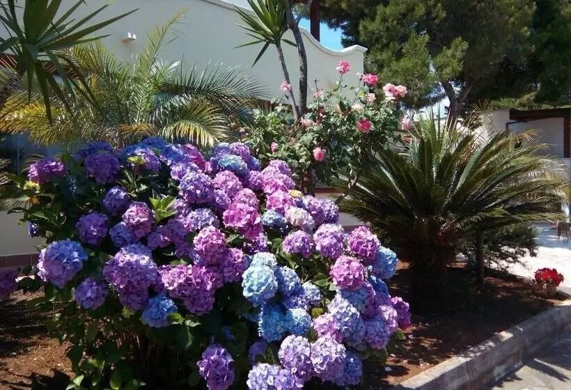 Bed and Breakfast Club Bellavista