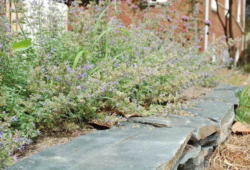 Bed & Breakfast The King S Daughters Inn