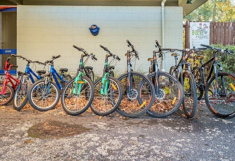 בית מלון כפרי Alpine Adventure Holiday Park