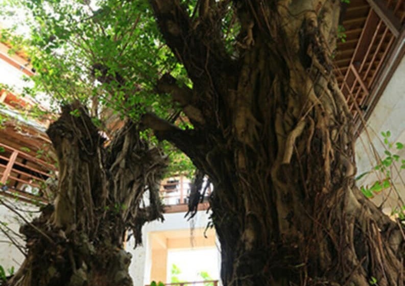 فندق Hyakunagaran