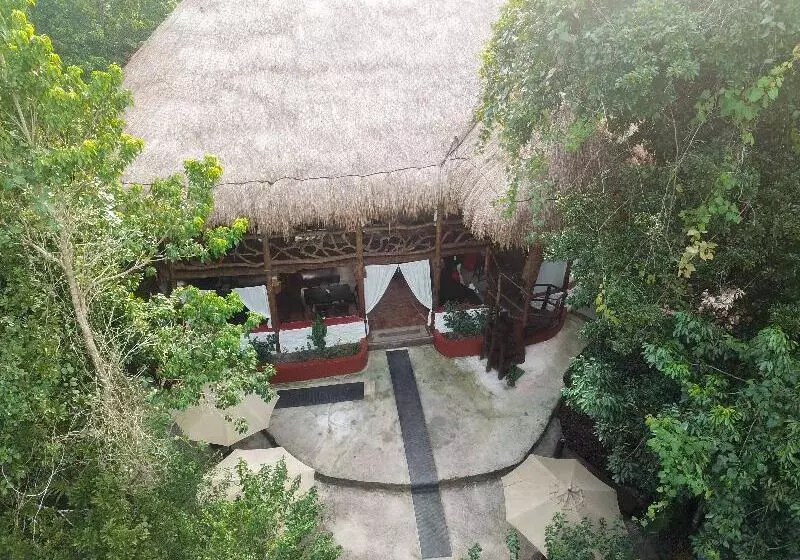 酒店 Jolie Jungle Eco