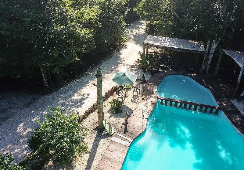 ホテル Jolie Jungle Eco