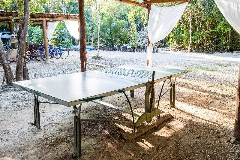 酒店 Jolie Jungle Eco