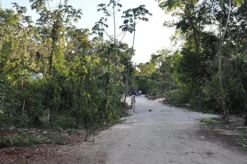 酒店 Jolie Jungle Eco