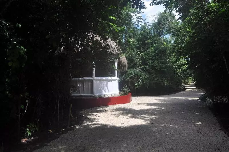 酒店 Jolie Jungle Eco