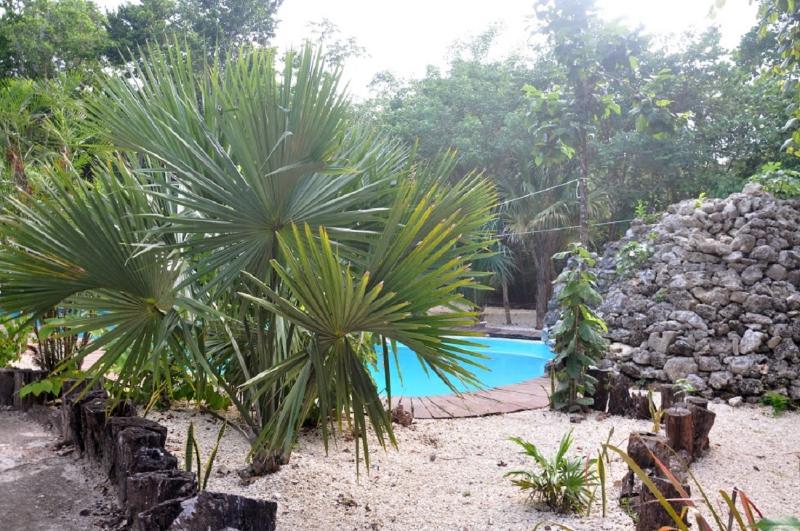 ホテル Jolie Jungle Eco