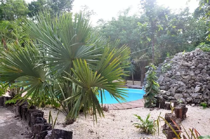 酒店 Jolie Jungle Eco