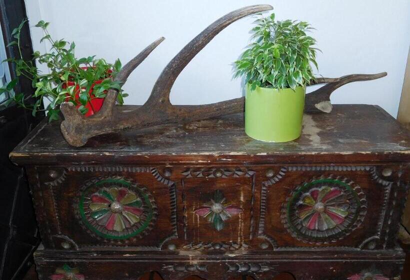 בית מלון כפרי Kirchenwirt