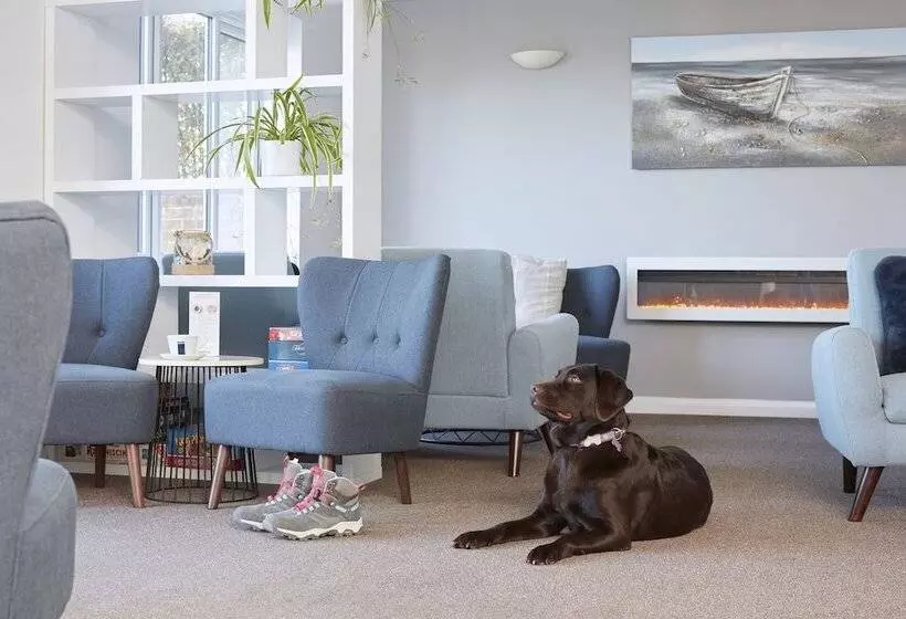 호텔 Luccombe Manor Country House