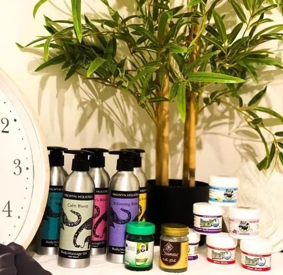 호텔 Snowman Lodge And Spa