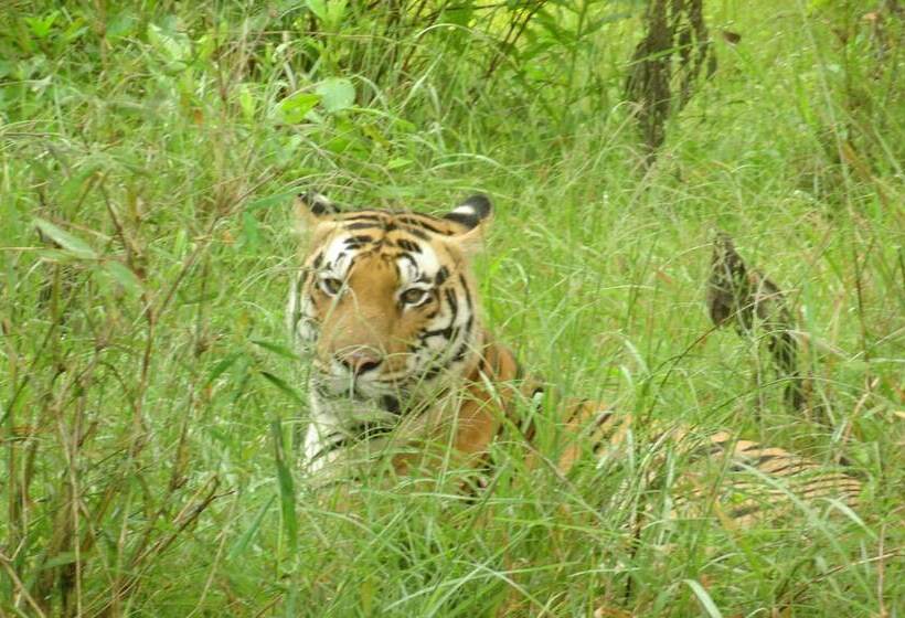 בית מלון כפרי Windsor Tiger Resort