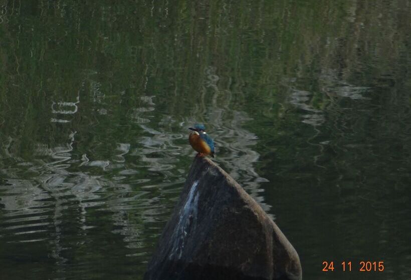 בית מלון כפרי Windsor Tiger Resort