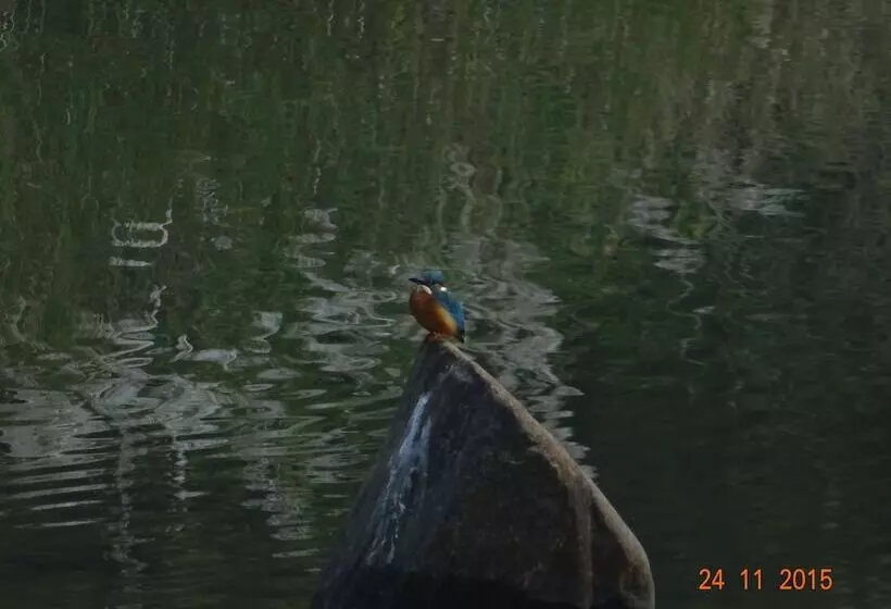 Hotel Windsor Tiger Resort