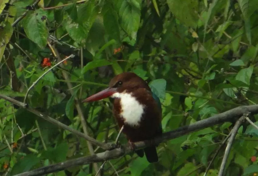 Hotel Windsor Tiger Resort