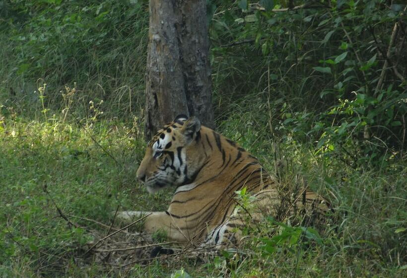 בית מלון כפרי Windsor Tiger Resort