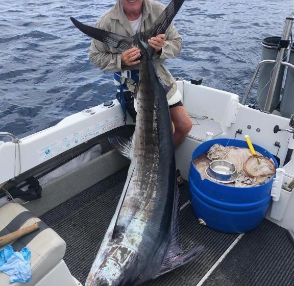 Opononi Lighthouse Motel