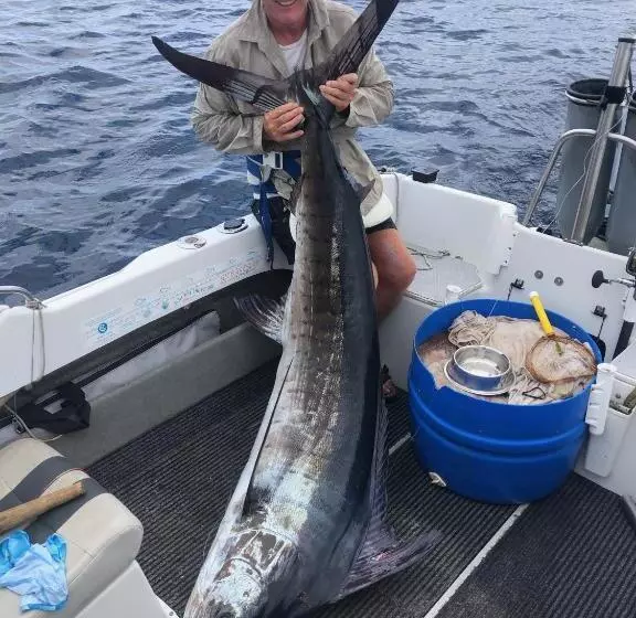 Opononi Lighthouse Motel