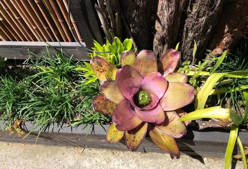 Opononi Lighthouse Motel