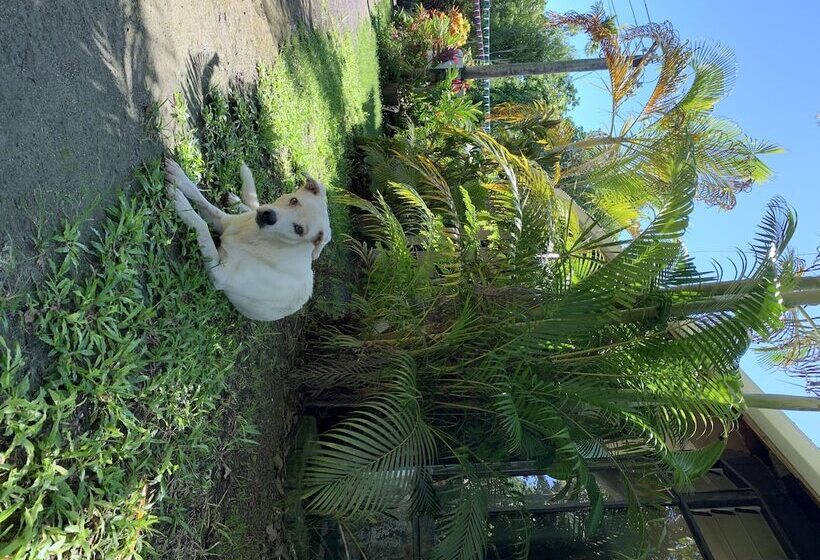 אתר נופש Lusia's Lagoon Chalets