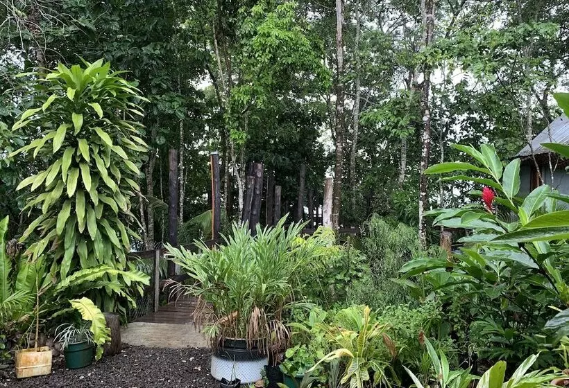 استراحتگاه Lusia's Lagoon Chalets