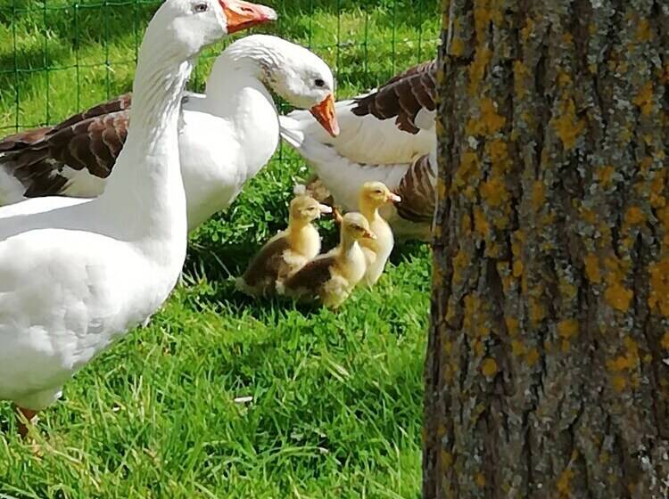 旅馆 Villa Maëlla