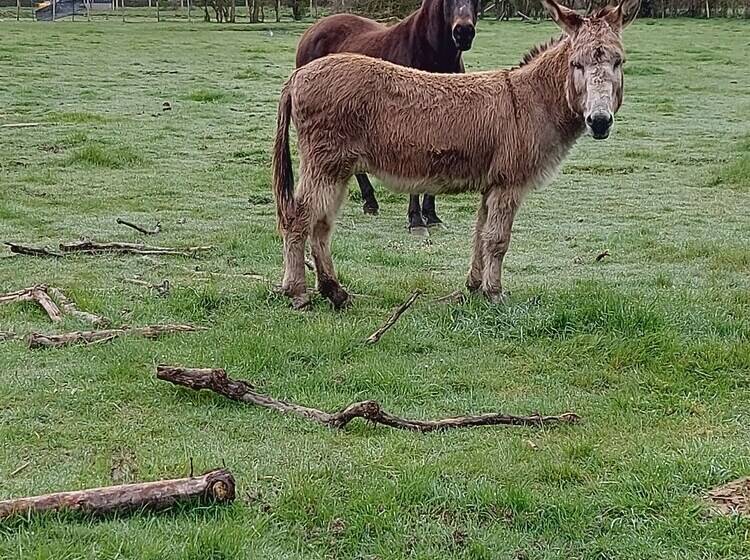 旅馆 Villa Maëlla