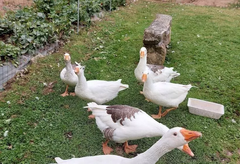 ユースホステル Villa Maëlla