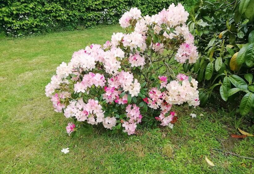 旅馆 Villa Maëlla