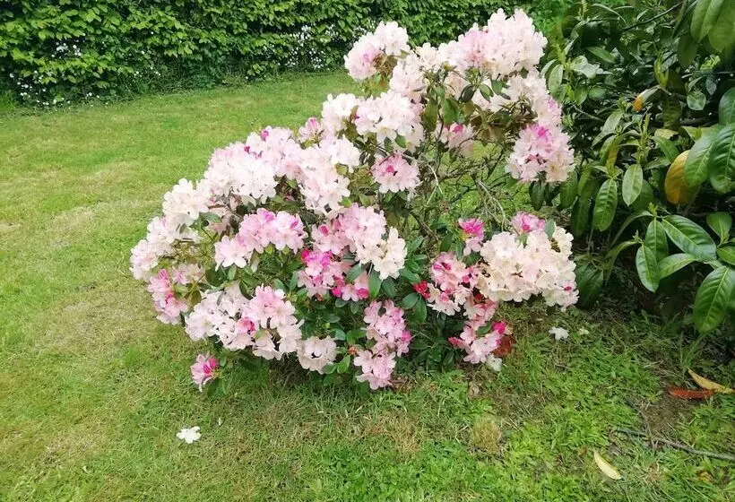 ユースホステル Villa Maëlla