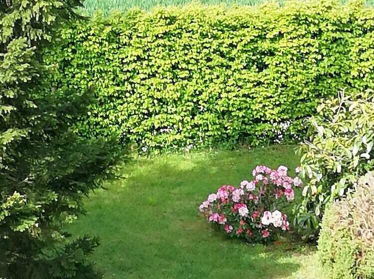 旅馆 Villa Maëlla