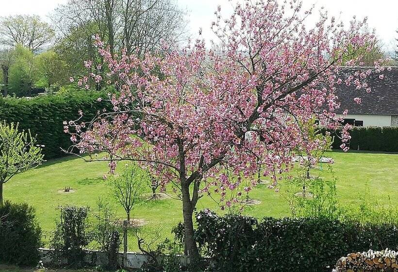 旅馆 Villa Maëlla